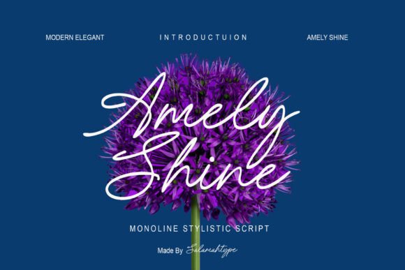 Amely Shine Font for Elegant Branding