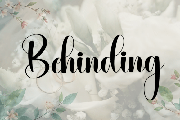 Behinding: A Script Handwritten Font for Elegant Campaigns