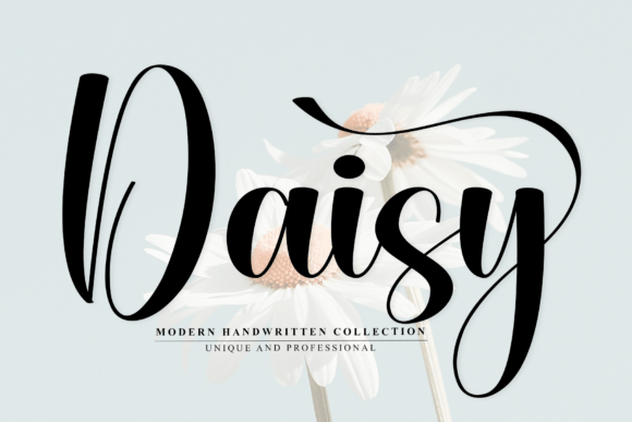 Daisy3 Script Font for Elegant Campaigns