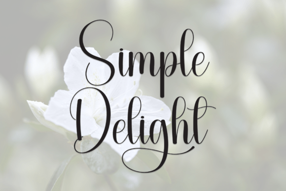 Simple Delight Typeface for Modern Campaigns