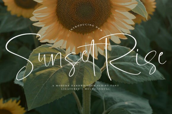 Sunsetrise Font: Elevate Your Brand Identity