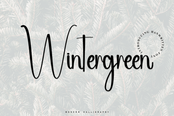 Wintergreen Font Review for Modern Campaigns